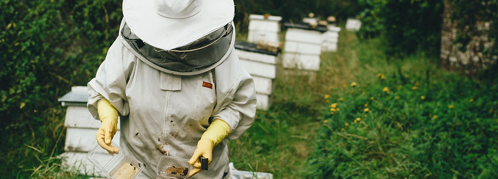 Beekeeper at Work