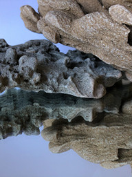 two pieces of fossilized coral stacked on top of each other reflecting off the glassy water on a sandy beach