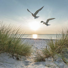 Laragh Glendalough Notes Week Beg 26th Feb 2024