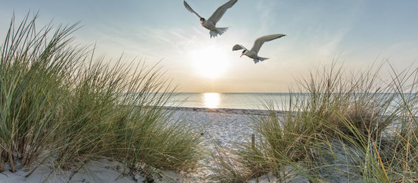 The Holy Hidden in Plain Sight