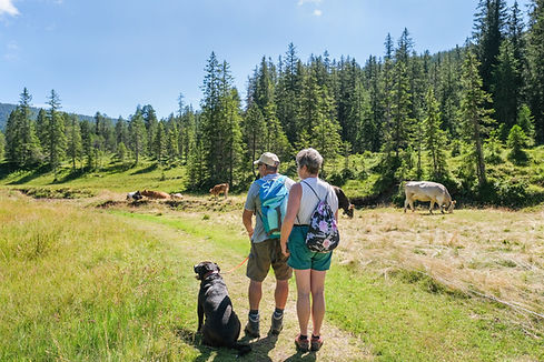 Hiking with a dog