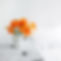 Fleurs de lys
