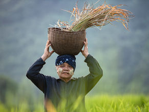 A Riqueza Vem do Trabalho | #07