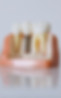 Dental Implant Model