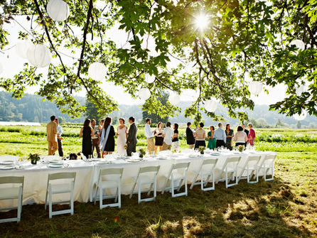 Gedicht van de maand | JUNI