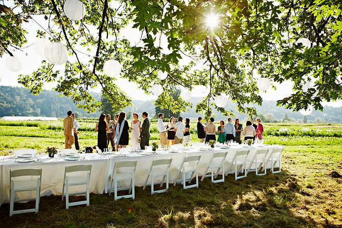 Outdoor Wedding Reception