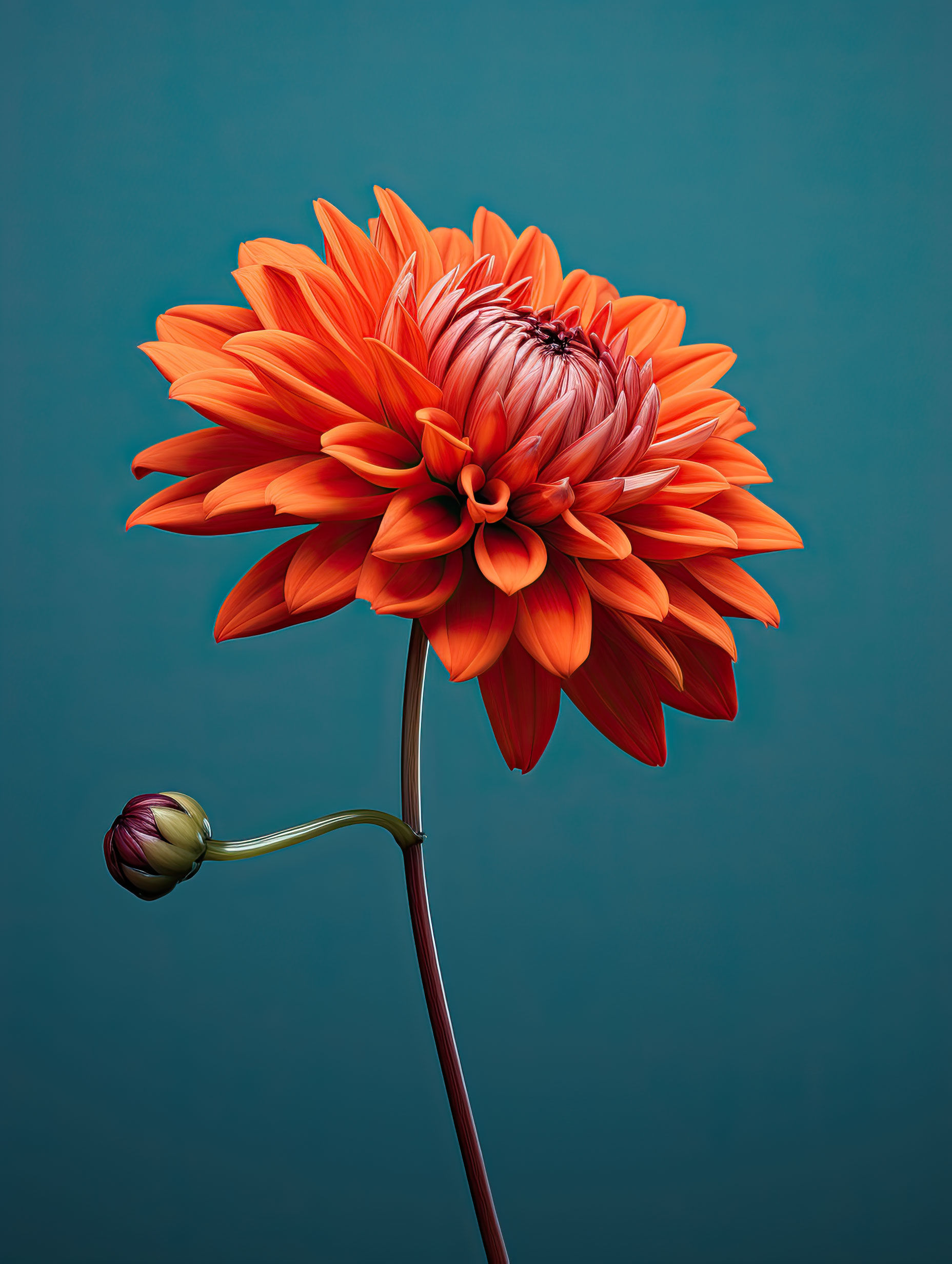 Single Stem- You Pick Flowers