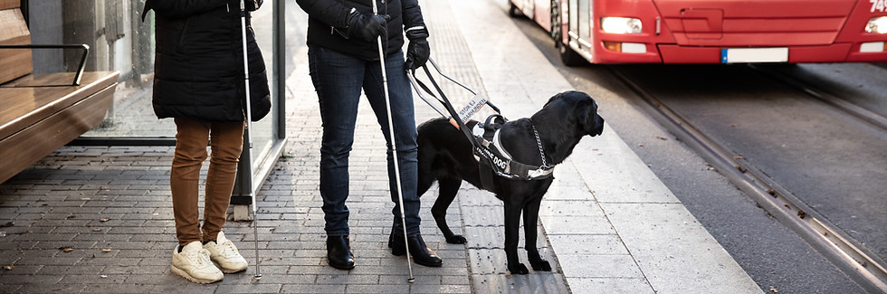 Szene für Blindenzugänglichkeit