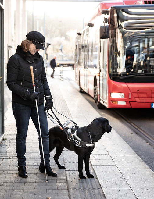 Whole Sum Wellness making therapy accessible