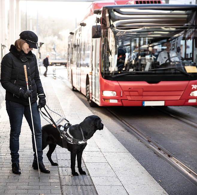 Blind Accessibility Scene