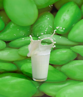 Milk Splash 