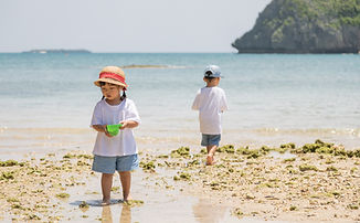 <p class="font_8">최근 유도줄기세포를 만드는 기술을 응용한 세포치료가 잇따라 성공하고 있다. 야마나카 신야 박사가 유도줄기세포(induced pluripotent stem cell, iPS)를 만들기 위해 사용했던 Oct4, c-myc, Klf4, Sox2 유전자 중 세포분열 촉진효과를 가진 c-myc을 제외한 나머지 3가지 유전자를 이용해 늙은 신경세포를 재생이 가능한 젊은 신경세포로 만들 수 있다고 한다. 이에 대해 AI에게 물어 보았다. </p>
<p class="font_8">인간이 다시 젊어지는 방법이 최근에 개발되었다는데 소개해줘.</p>