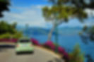 Road Trip