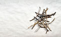 Pile Of Sticks