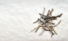 Dry Sticks