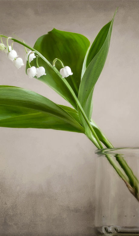 Brin de muguet dans un pot en verre