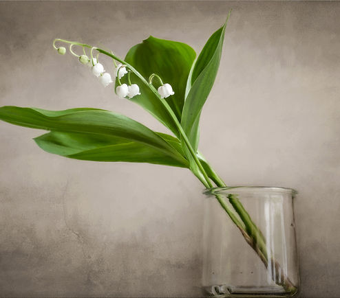 Fresh Flower
