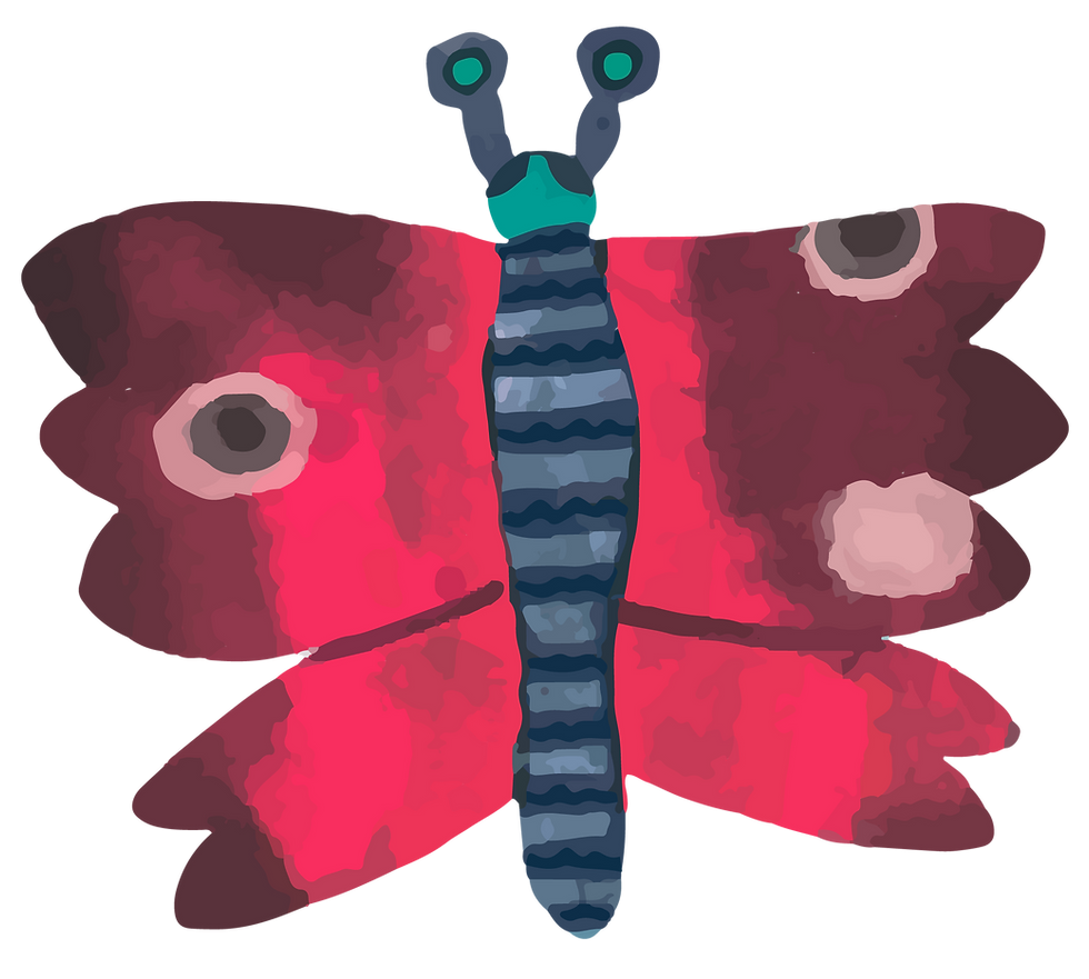 Colorful Butterfly Illustration