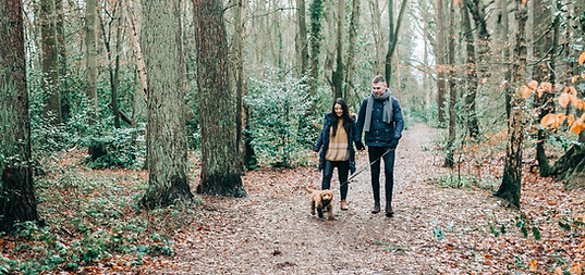 Couple Walking Dog