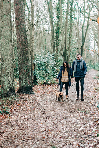Walking the Dog
