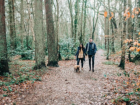 Paar beim Spaziergang mit Hund