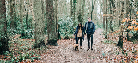 Walking the Dog