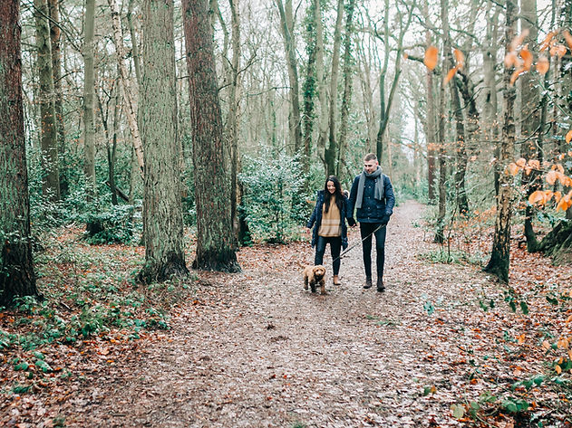 Promener le chien