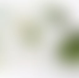 ご依頼について ― 既存の作品のご購入