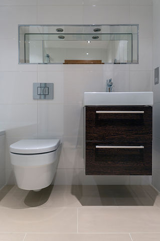 Toilet and sink in modern bathroom
