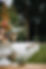 Outdoor wedding decorations