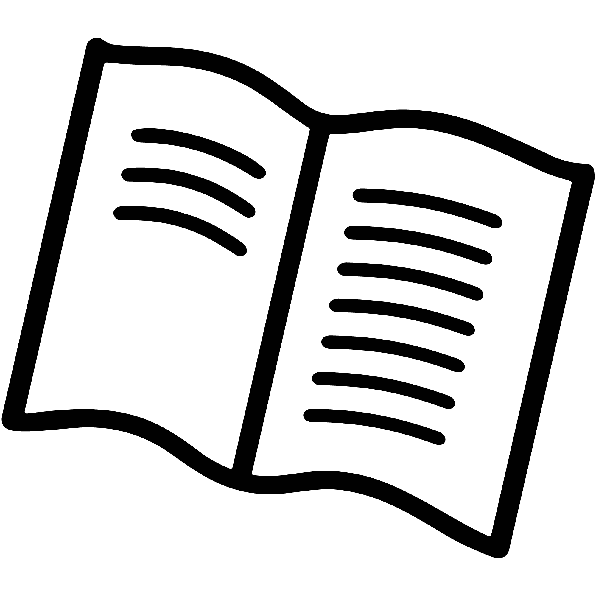 Open Book Icon