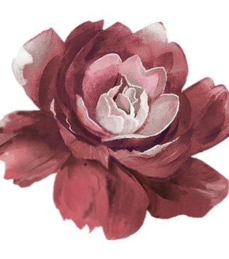 Pink Watercolor Rose