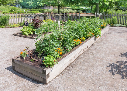Raised Garden Beds