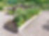 Vegetable Garden