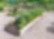 Vegetable Garden