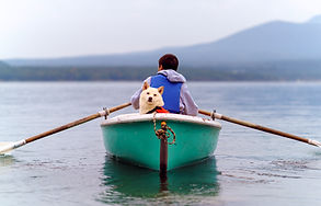 Canoe Trip with a Dog