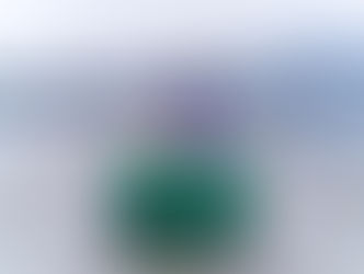 〔246〕