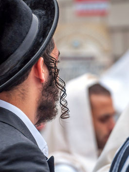 Debunking Misconceptions and Promoting Peaceful Coexistence