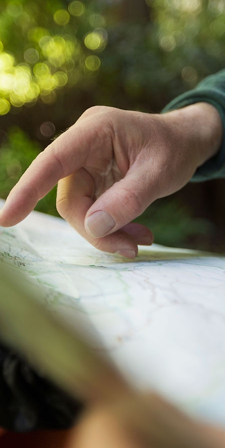 Mapa de lectura