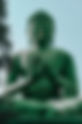 The Enlightened Path: A Message from the Buddha