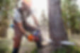 Lumberjack Cutting Tree