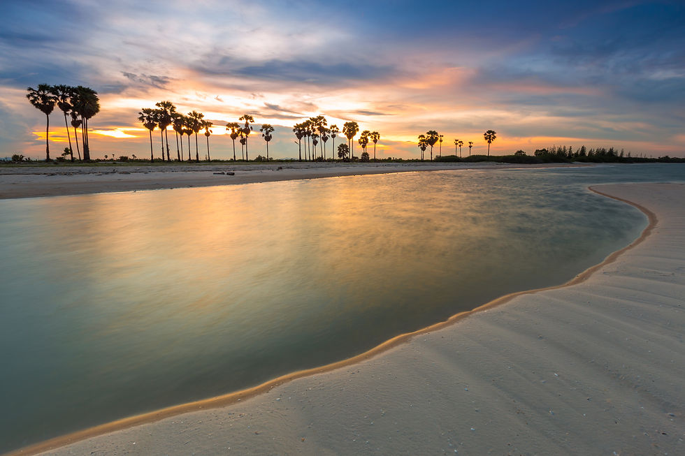A view of a beach