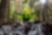 Outdoor Abenteuer bei Outback Adventure