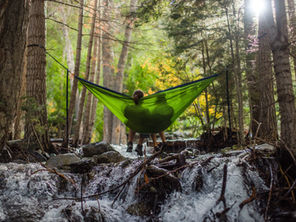 Person in a green hammock over a forest stream, surrounded by trees and sunlight filtering through leaves. Relaxed and serene mood.
