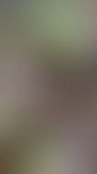 A Digital Nomad in Kenya