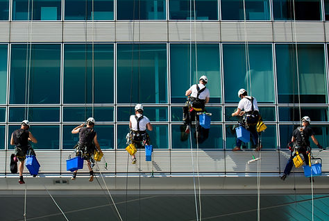 Window Cleaners