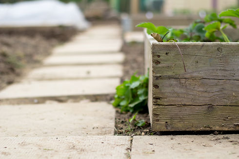 Garden path and planter