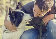 Dog with vet