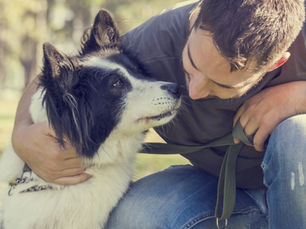 DOGREBELS CHECK: Hundespielplatz Köln-Rondorf: Geschützter Auslauf für deine Fellnase