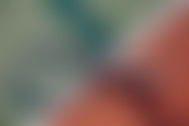 IVA e formazione Europea